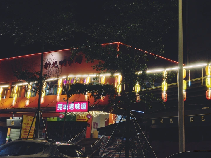夜来非