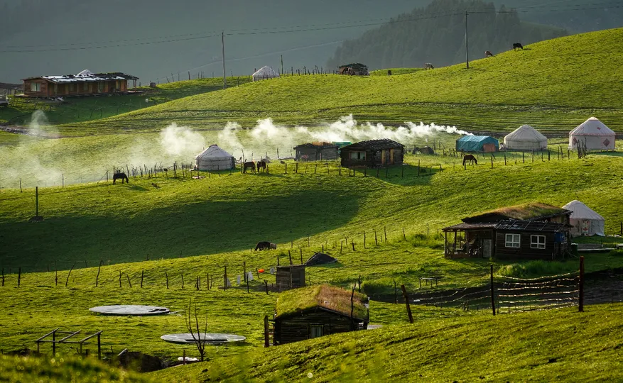 一片绿色的山丘、田野和小型房屋的景观