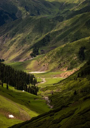 山脉中的一个绿色山谷