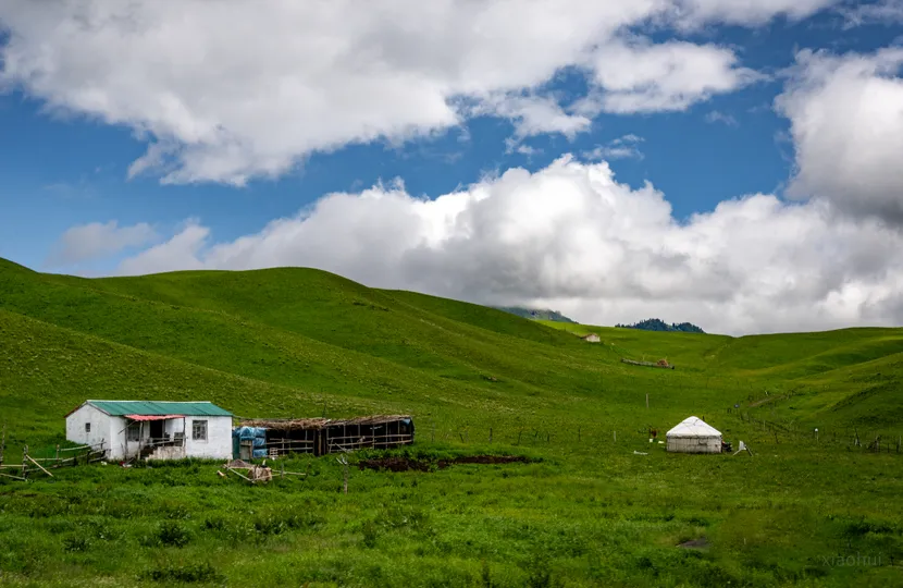 背景是绿草如茵的山丘的白宫