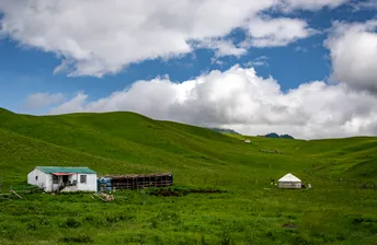 背景是绿草如茵的山丘的白宫