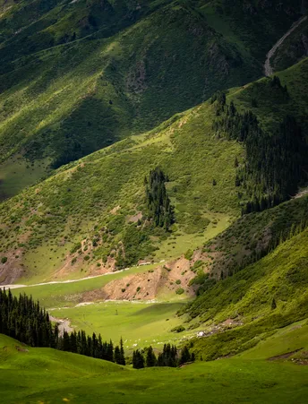 山脉中的一个绿色山谷