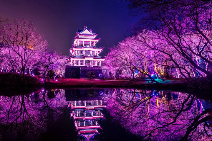 赏樱亭