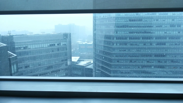 北京的第二场雪