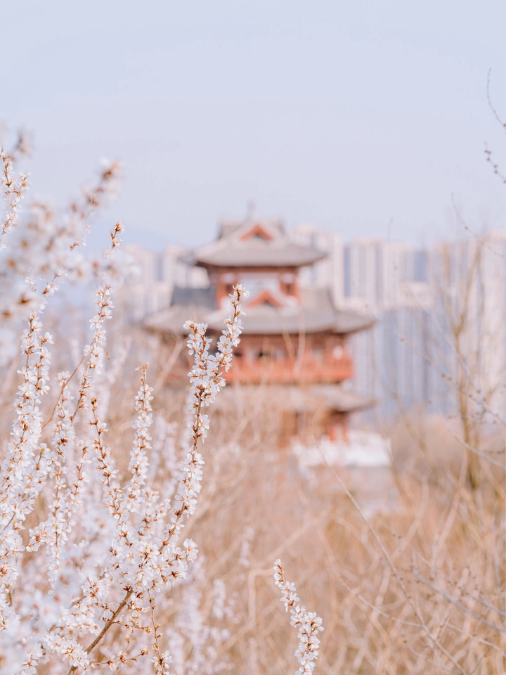 春不晚，来园博园