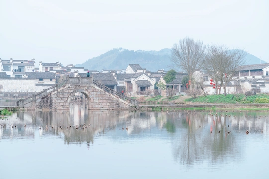背景中有一座桥 前景中有城市 前景中有一小片水域 背景中有古老的建筑。