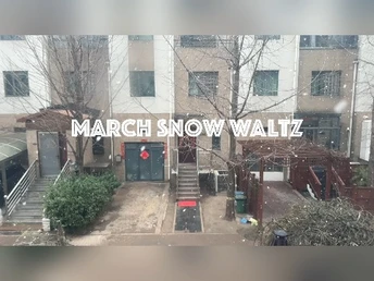 京城雪花华尔兹