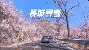 寻找长城的春天
