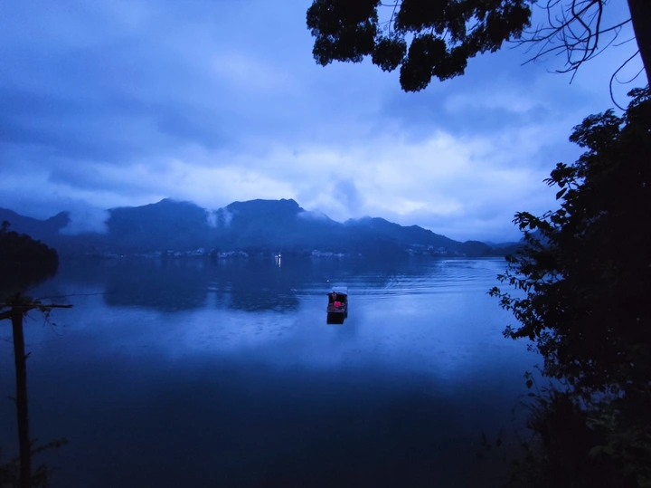 晨曲鱼歌