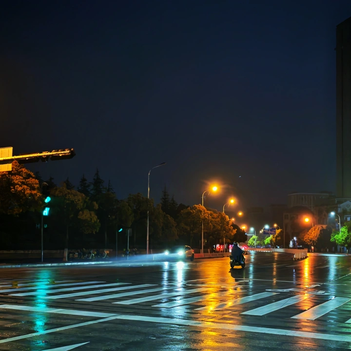 灯雨晨行
