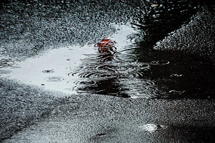 雨巷掠影