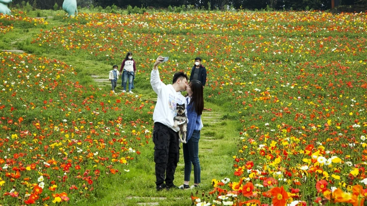 百花园