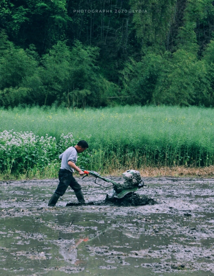 春忙