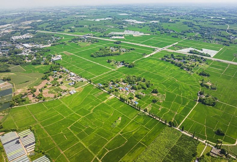 农村地区的航拍照片 有绿油油的田地和树木。