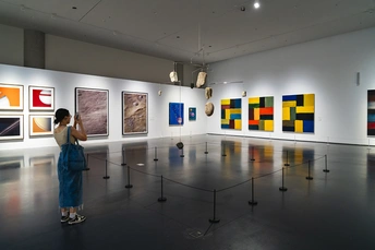 一张女性在艺术画廊里看着墙上的画的照片