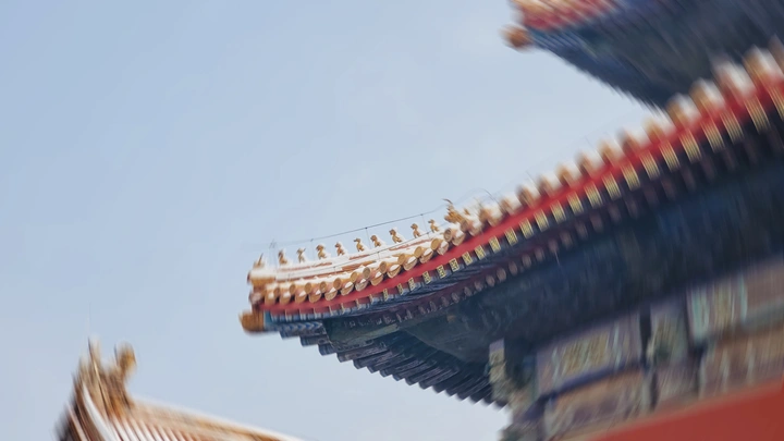 眩晕紫禁城