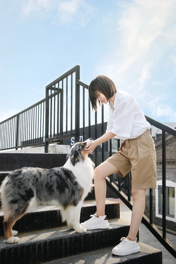 一个站在一些台阶上的女人和一只狗