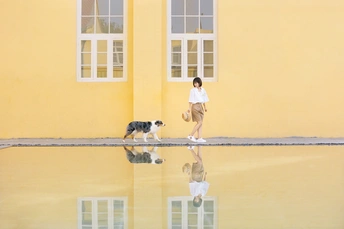 一位女士在黄色建筑前遛狗 水中的倒影