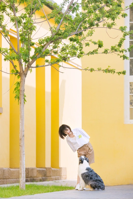 一个年轻女孩和男孩在黄色建筑外面与猫和狗玩耍