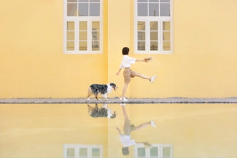 一位年轻女子和她的狗在黄色建筑前奔跑 水中的倒影