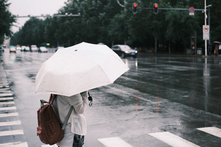 雨