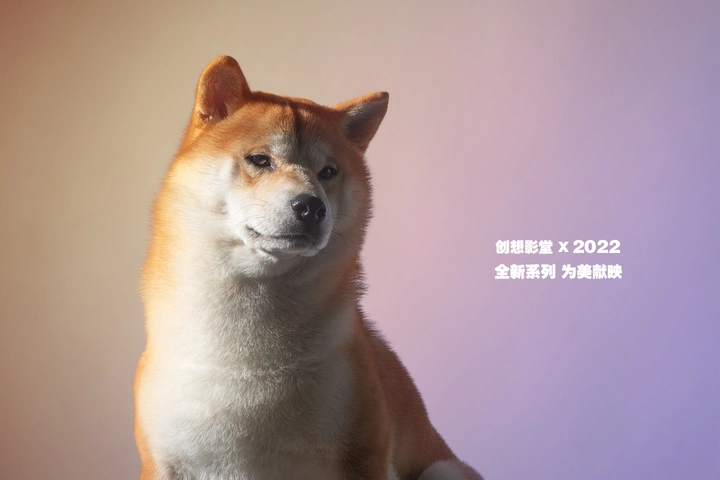 有一种色彩，淡泊宁静