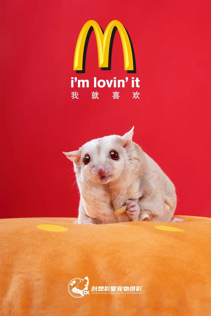 麦当劳🍔