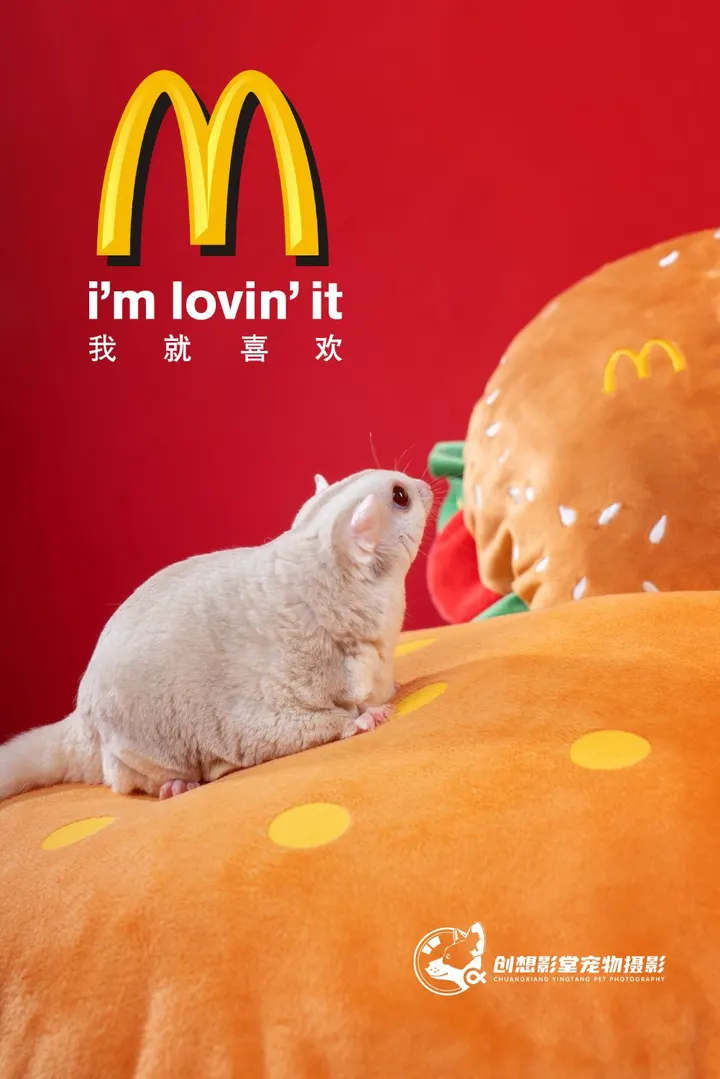 麦当劳🍔2