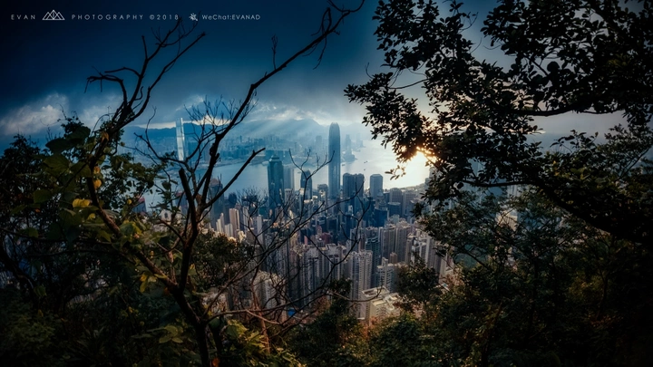 丛林都市