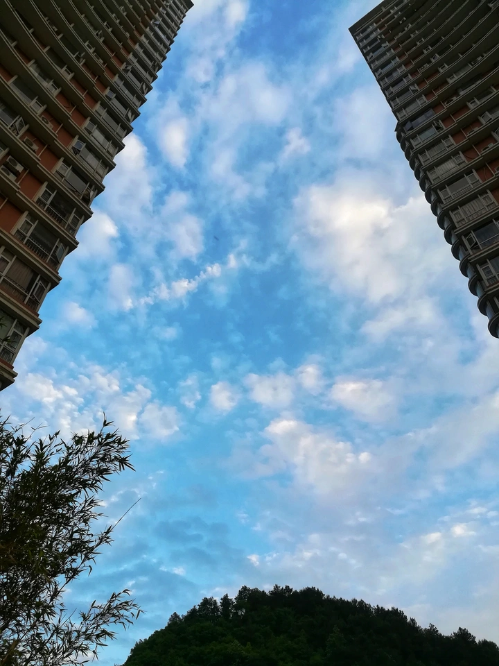 昼与夜，虚与实，梦与幻。