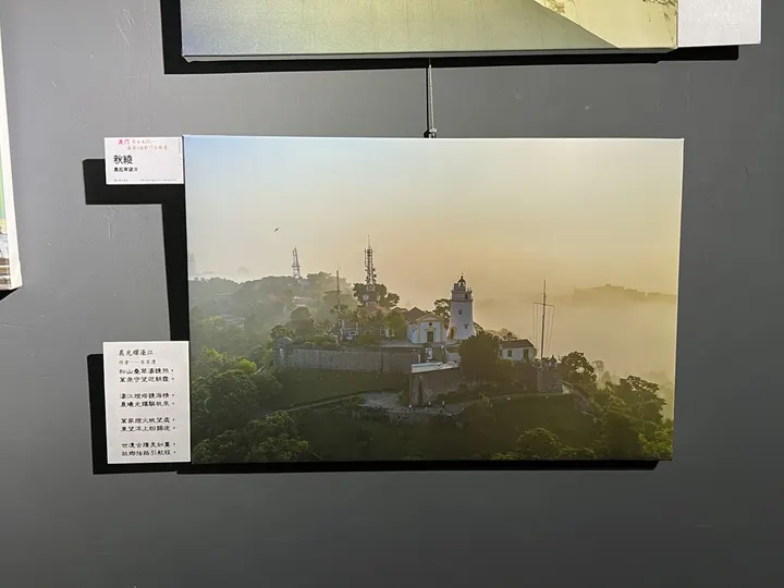 窩居