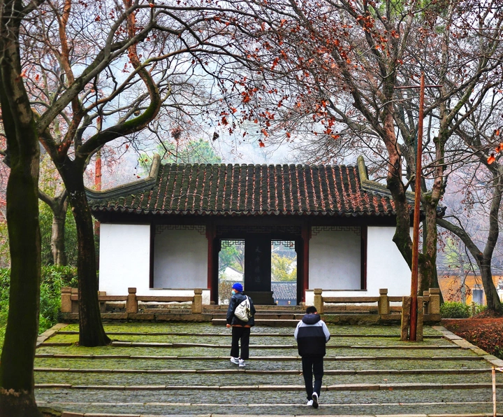 登峰造极