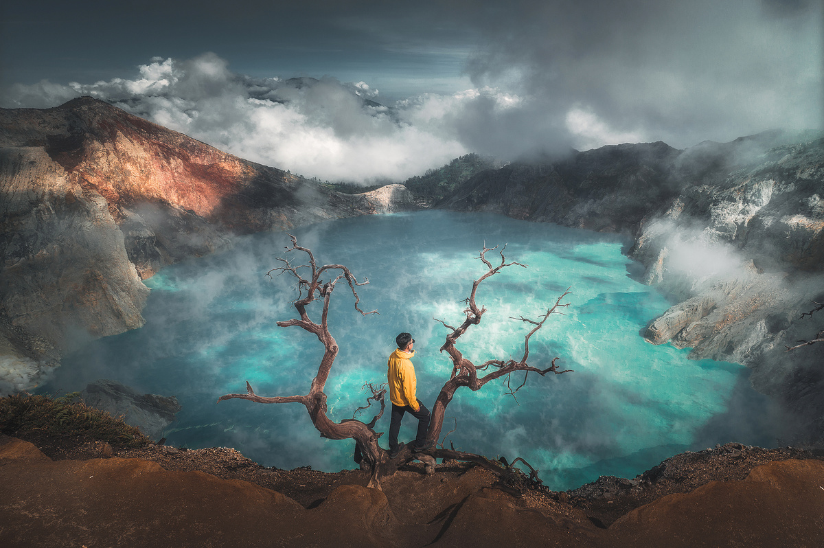 一幅站在悬崖上俯瞰湖泊和蓝色水面的死树的画