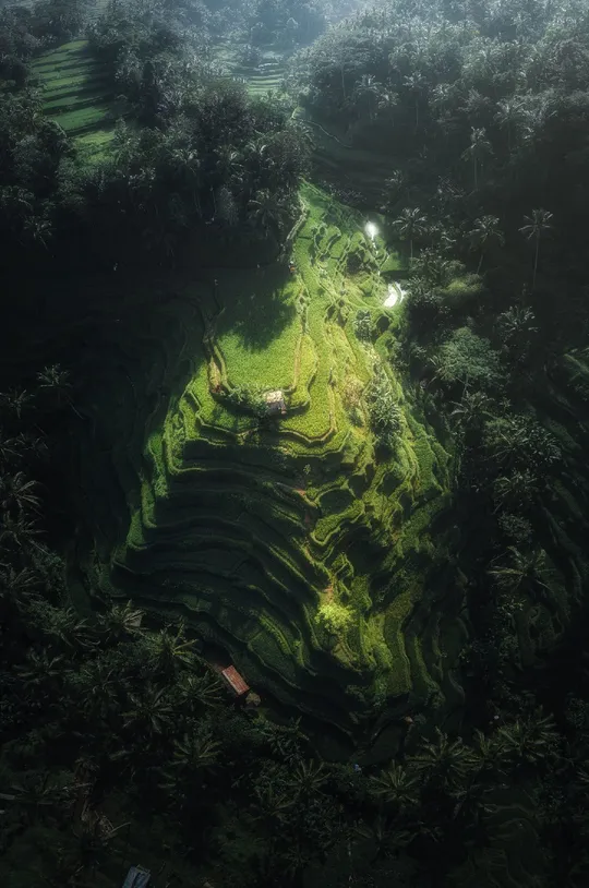 田地梯田 aerial view of terraces and fields