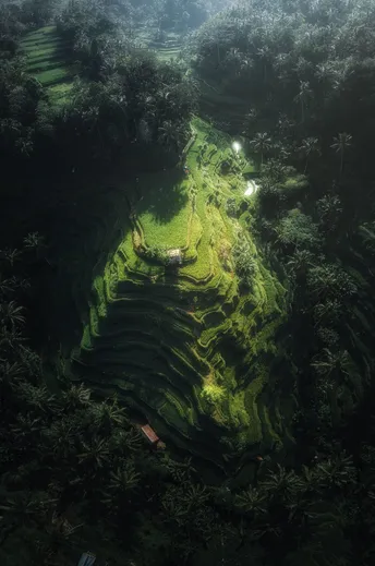 田地梯田 aerial view of terraces and fields