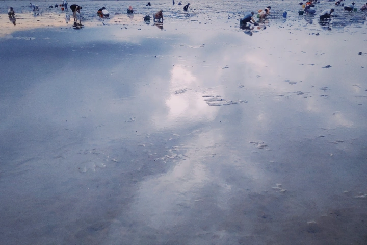 赶海