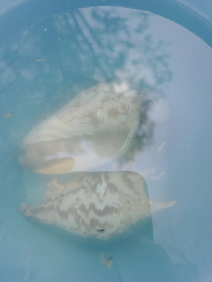 周末愉快⛱️