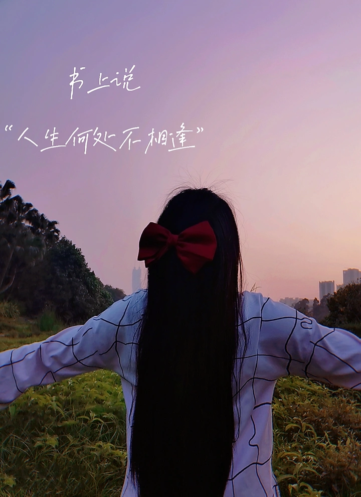 落羽杉