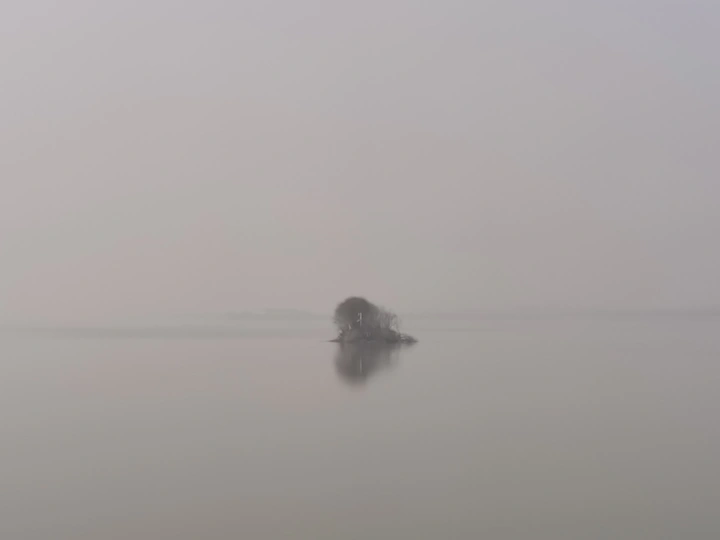 平平无奇的我，平平无奇的生活