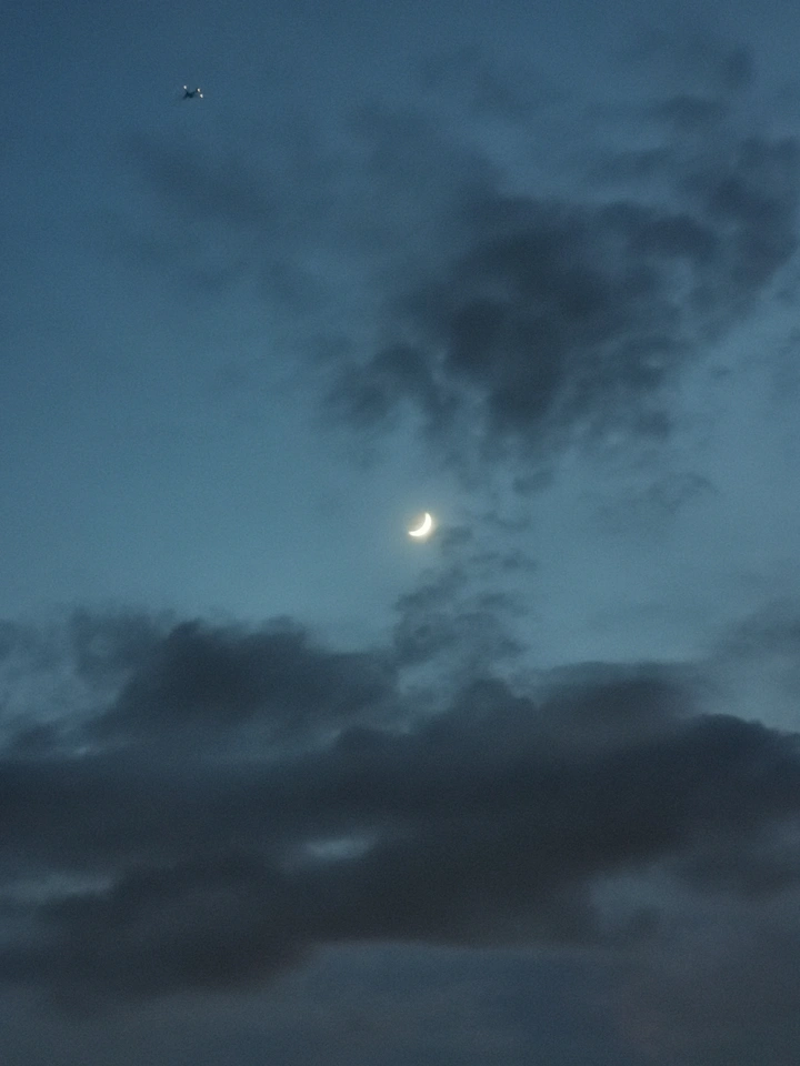 缘分