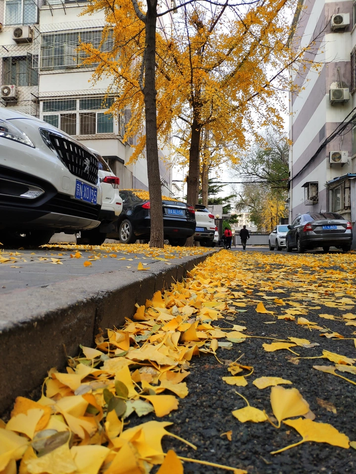 入冬