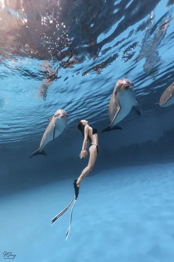 一张女人与海豚在水下游泳的照片