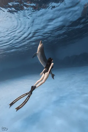 一位女性在海洋表面下与鲨鱼和海豚一起游泳。