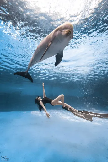 一位女子与海豚在水中游泳