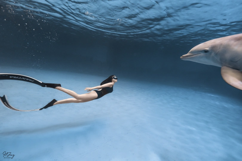 一位女士在海洋馆与海豚游泳