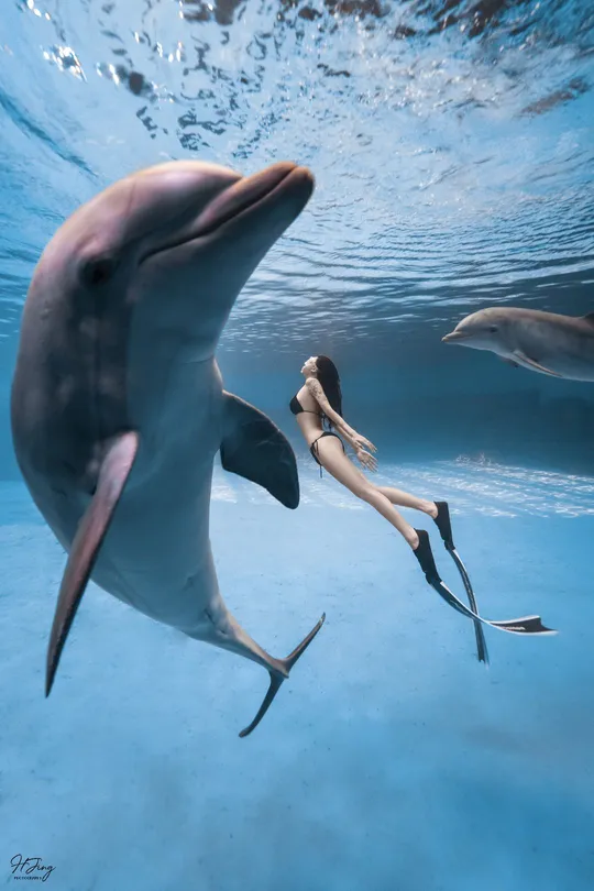 一位女子骑在一只海豚身上在水下游泳