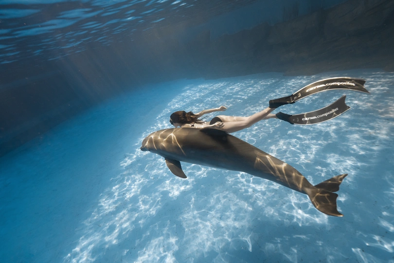 一位女子在海洋馆里与海豚游泳