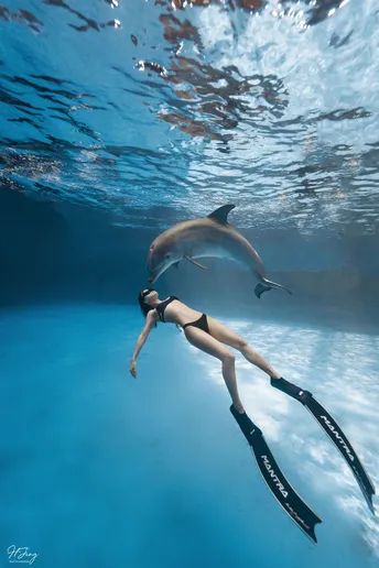 一位女子在海洋中与海豚一起潜水
