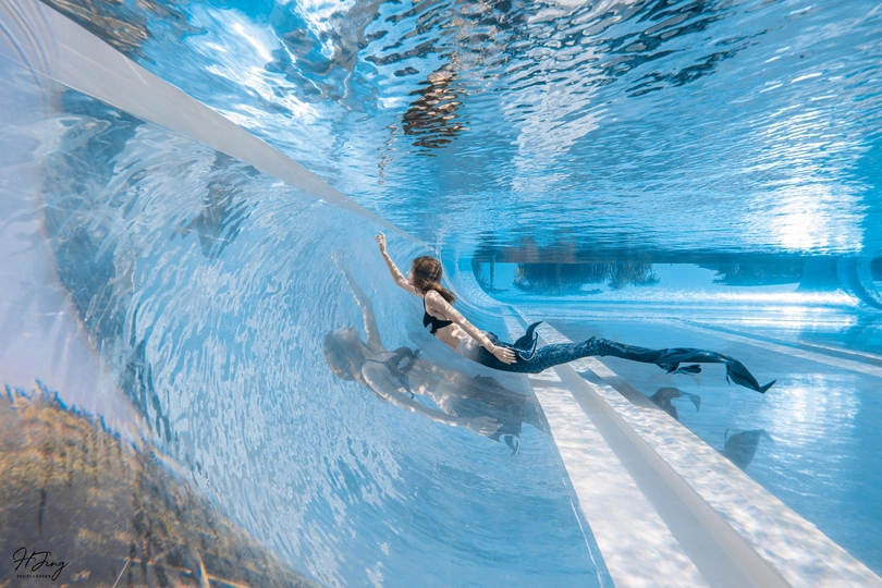 一位穿着蓝色连衣裙的女士骑在一只海豚上在游泳池里游泳 游泳池里的水是蓝色的。