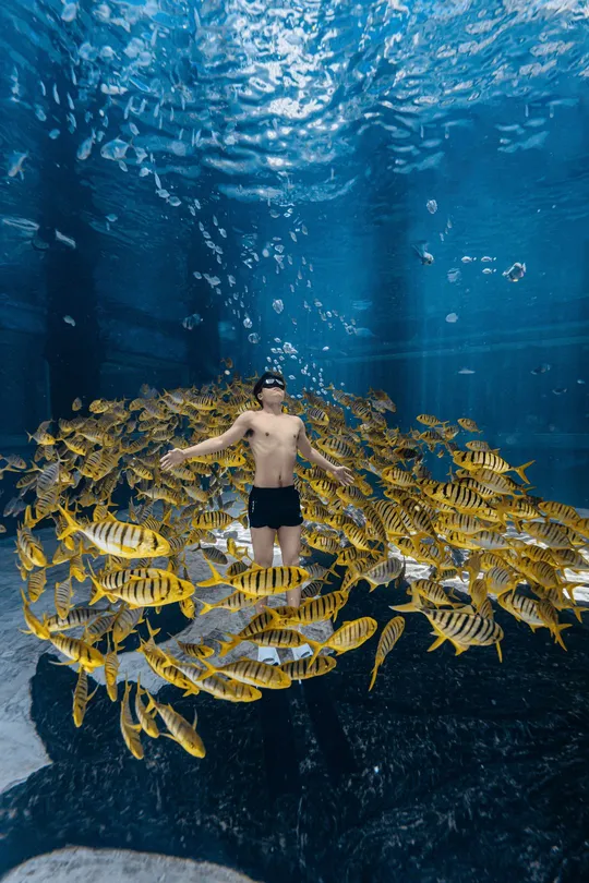 一个站在水族馆里的人 周围有许多鱼在水中游动。